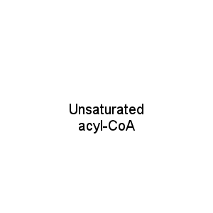 Unsaturated acyl-CoA
